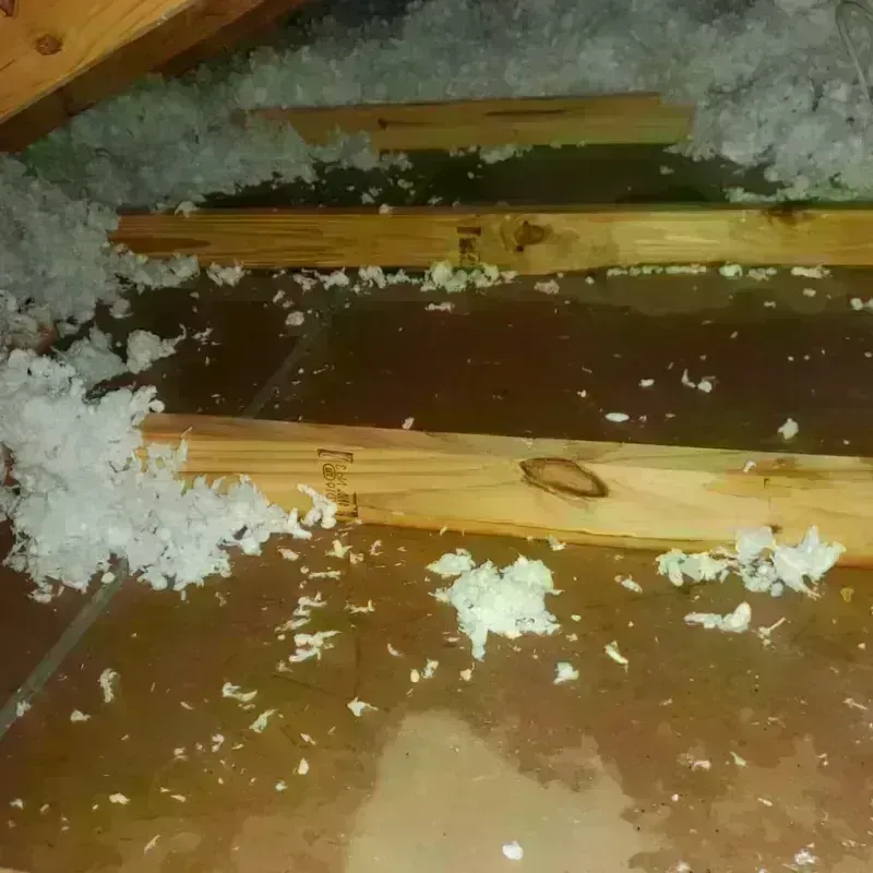 Attic Water Damage in Gastonville, PA